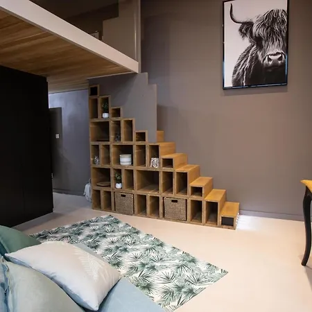 Swimcasalille Apartment La Madeleine (Nord)